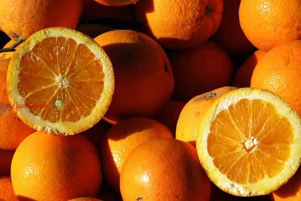 قیمت خرید پرتقال والنسیا ایران با فروش عمده